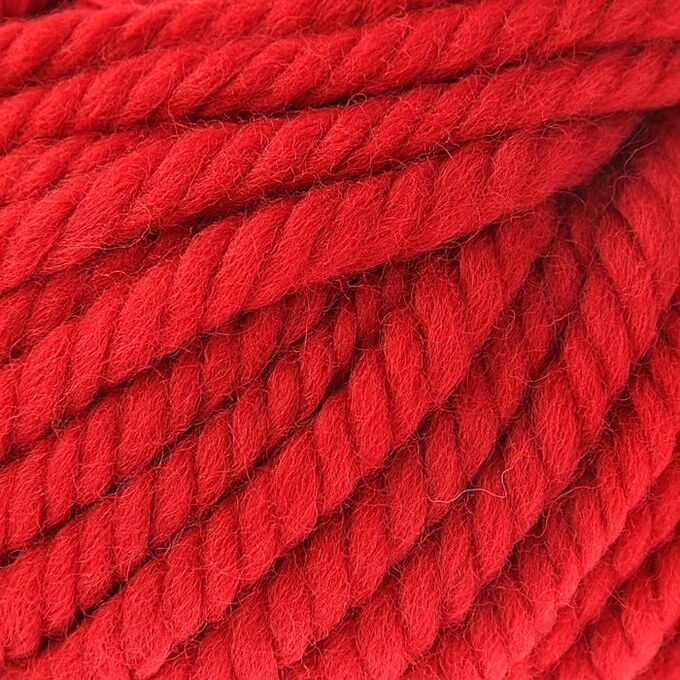 Пряжа &quot;Pure wool plus&quot; 100% шерсть 30м/100гр (1175)