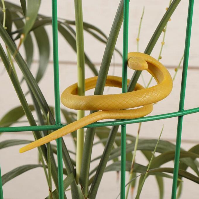 Змея и цветок 2. Подвязка для растений. Растения для змей. Подвязка для растений «змея» 2 шт (1). Садовая змея из травы.