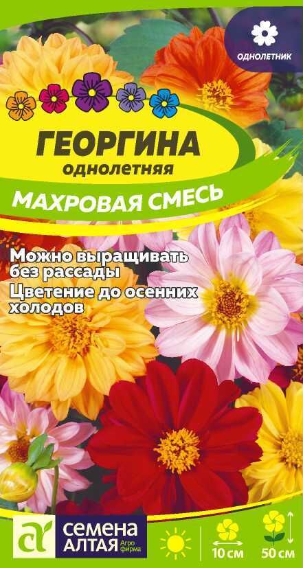 Георгина Махровая Смесь Окрасок 0,2гр СА/ЦВ
