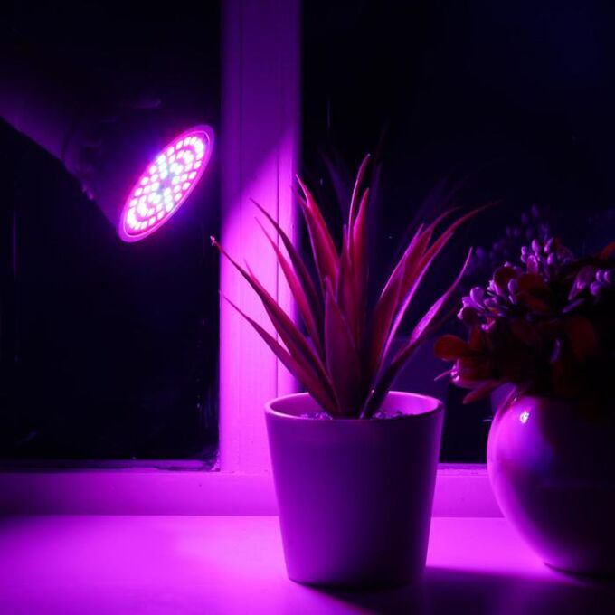 Светодиодная лампа для растений Luazon Lighting, 6 Вт, E27, 220В