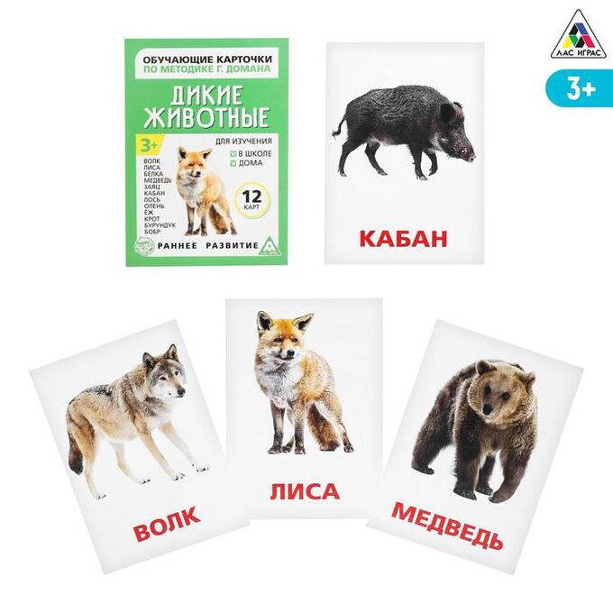 ЛАС ИГРАС Обучающие карточки по методике Г. Домана «Дикие животные», 12 карт, А6
