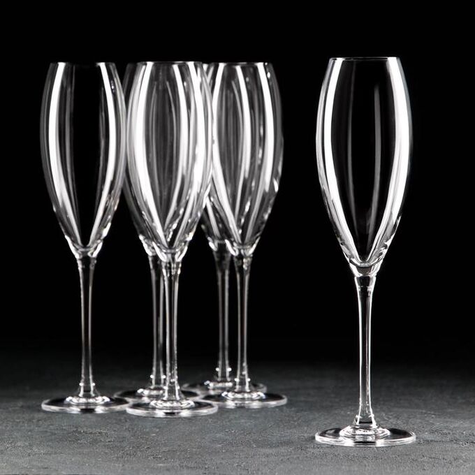Набор бокалов для шампанского Carduelis, 290 мл, 6 шт
