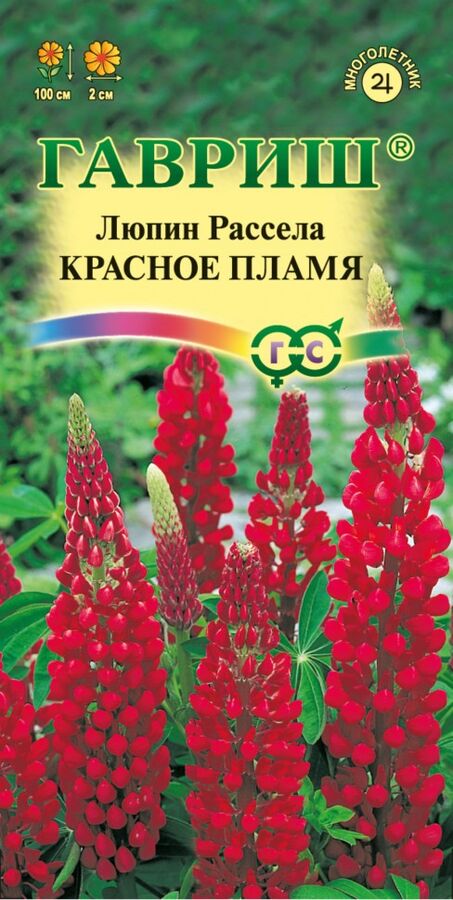 Цветы Люпин Красное пламя ЦВ/П (ГАВРИШ) 0,5гр многолетник до 1м