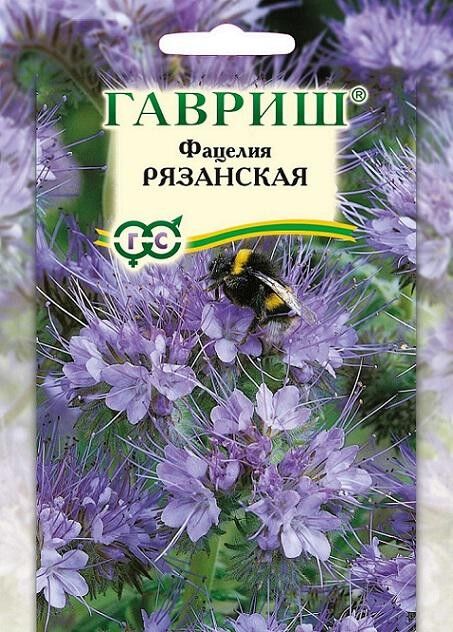 Фацелия Рязанская (ГАВРИШ) (1уп/10шт) 20гр сидерат (зеленое удобрение)