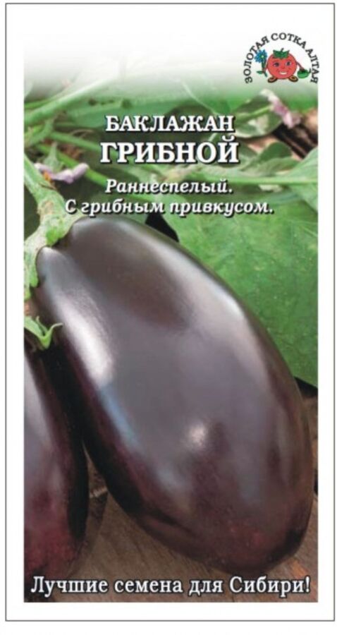 Баклажан грибной описание сорта фото отзывы Евросемена / Баклажан Грибной ЦВ/П (СОТКА) 0,2гр раннеспелый Баклажаны. Семена о