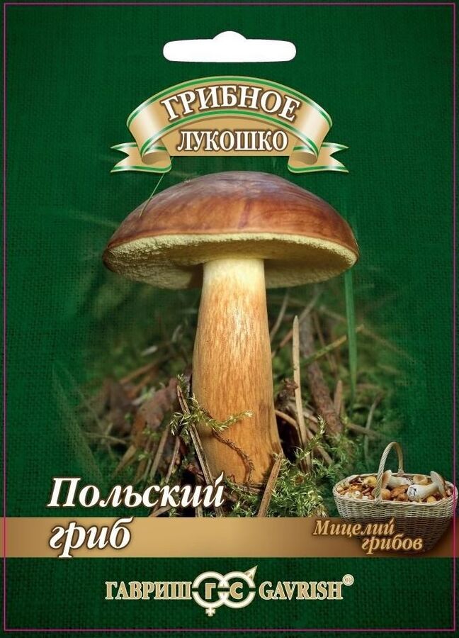 Грибы Польский гриб на субстрате (ГАВРИШ) 15мл