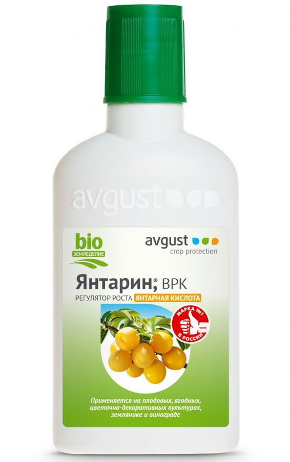 avgust Янтарин 100мл