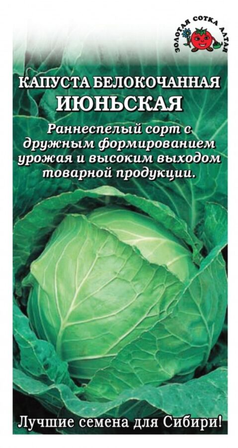 Капуста июньская описание сорта фото Капуста Июньская (Сем.Алтая) 0,5г /  Клуб уСПешных приобретений