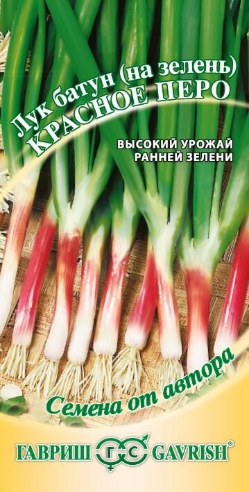 Baizheng Household Уссурийск С Лук на зелень Красное Перо раннеспелый 0,5гр Гавриш/БП