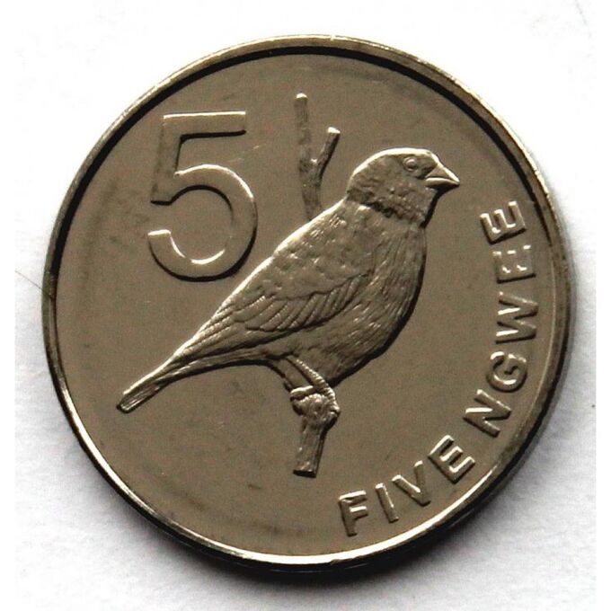 50 Нгве 2014. Монета с птицей. Монета с райской птицей. 10 Нгве 2012 Замбия. Birds монеты