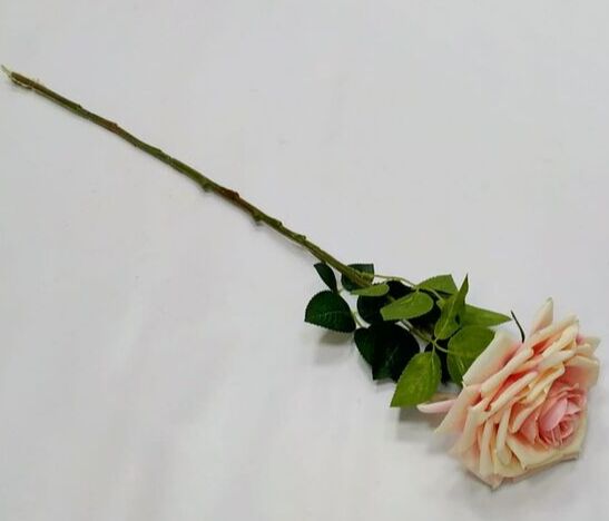 Шелковая роза