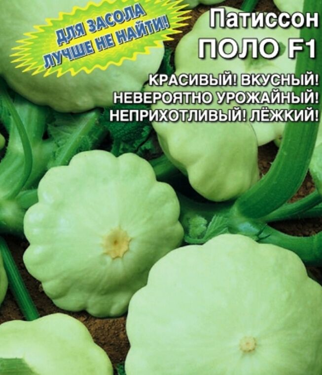 Цукини баклажан патиссон