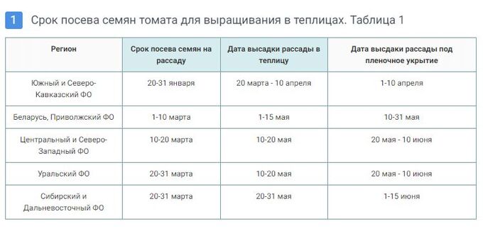 Сроки посева семян на рассаду таблица Картинки СРОКИ ПОСАДКИ ПОЗДНЕЙ КАПУСТЫ