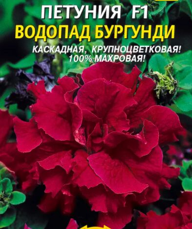 Петуния водопад мраморная