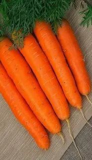 Морковь Детский завтрак А