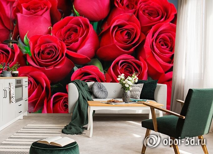 3D Фотообои «Нежные бордовые розы»