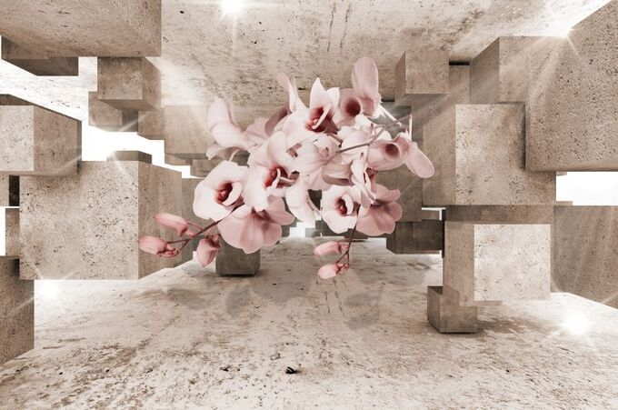 Design Studio 3D 3D Фотообои «Орхидеи в солнечном кубическом ангаре»