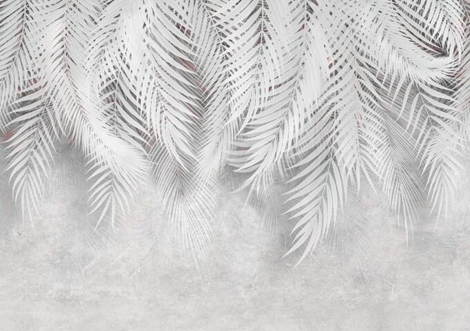 Design Studio 3D 3D Фотообои «Тропическая нежность в белых тонах»