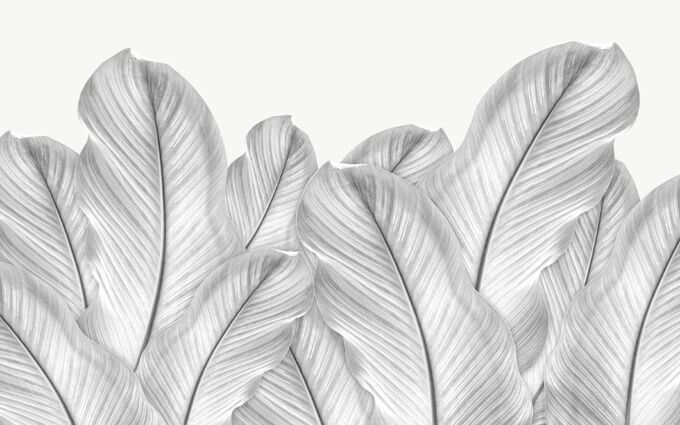 Design Studio 3D 3D Фотообои «Крупные листья стального оттенка»