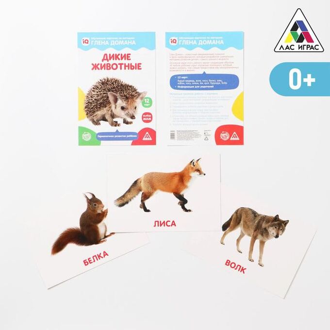 ЛАС ИГРАС Обучающие карточки по методике Глена Домана «Дикие животные», 12 карт, А5