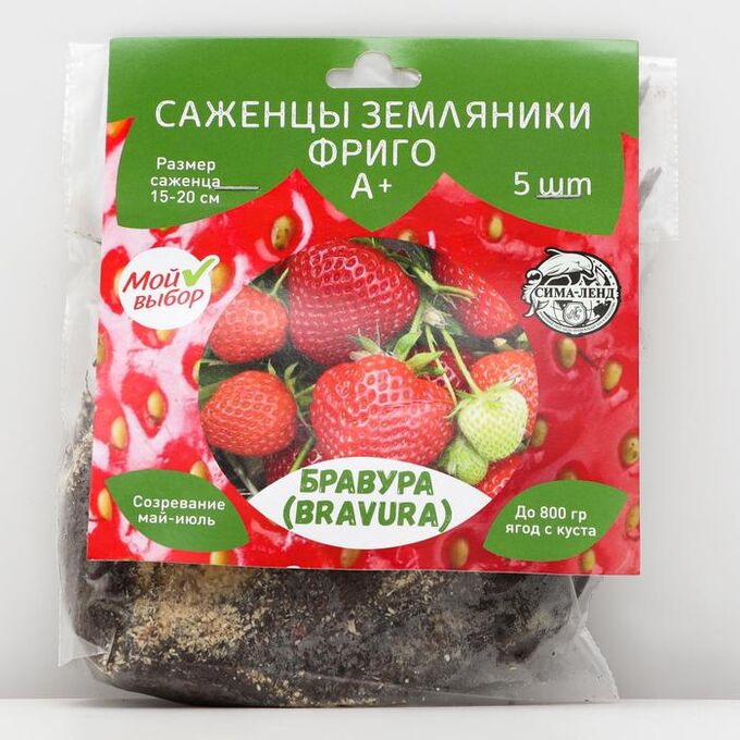 Клубника бравура описание сорта фото Саженец Земляники ФРИГО Бравура (Bravura) A+, 5 шт Плодовые саженцы. Луковицы, р