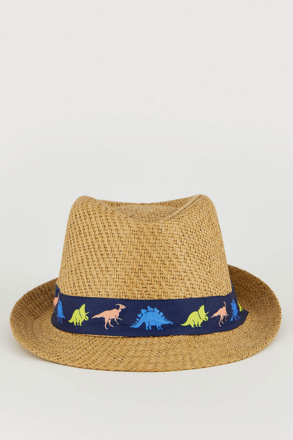 Шляпы для мальчиков купить. Шляпа Defacto. Шляпа для мальчика. Шляпа на мальчика Классик. G7904azbg326 шляпа Defacto.