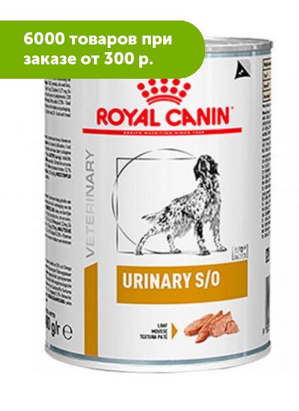 Паучи уринари для кошек. Роял канин уринари s/o пауч для кошек. Роял канин уринари пауч. Royal canin urinary s o 3 1. Urinary s o влажный корм.