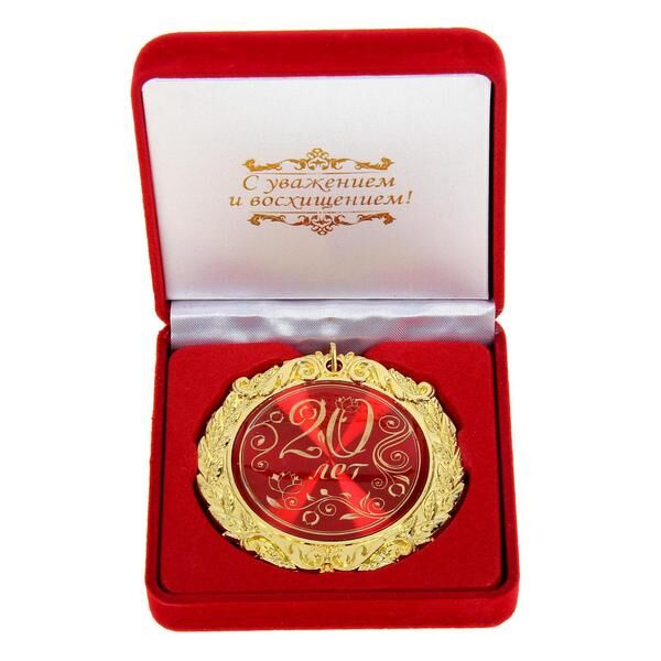 Медаль в бархатной коробке «20 лет»