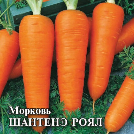 Семена Морковь 2 г. Гавриш