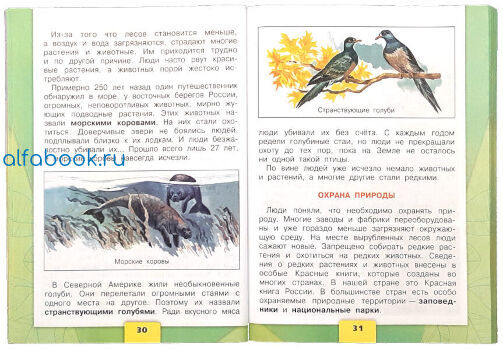 Окружающий мир 3 класс проект страница 112