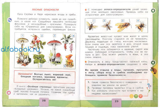 Окружающий мир страница 35 учебник 2 класс