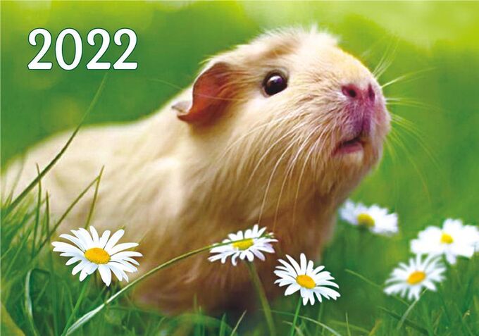 ЛиС Карманный календарь на 2022 год &quot;Домашние животные&quot;