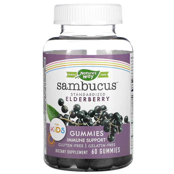 Nature&#039;s Way, Sambucus, стандартизированный экстракт бузины для детей, 60 жевательных таблеток