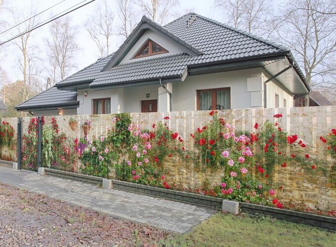Фотосетки для забора дачи картинки