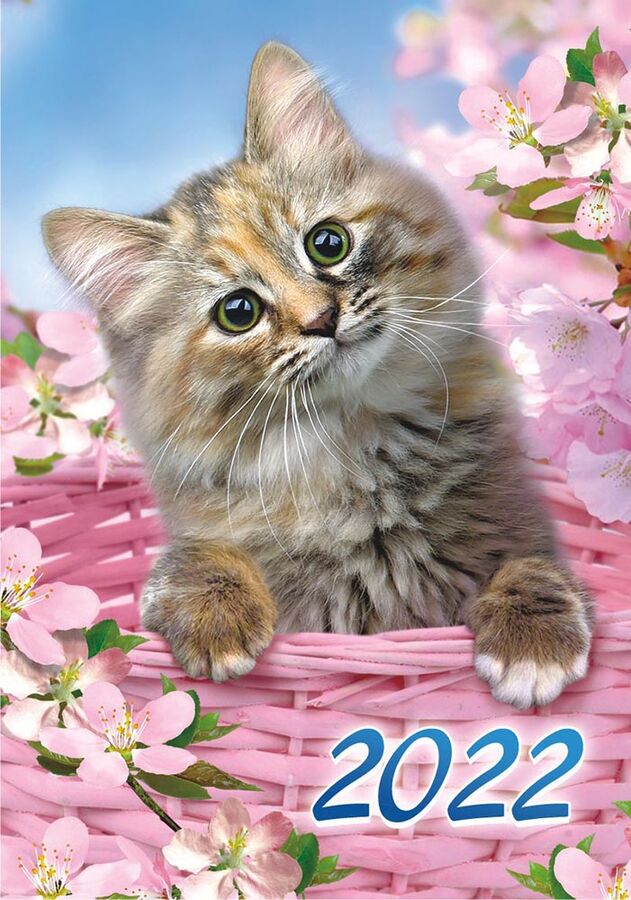 ЛиС Карманный календарь на 2022 год &quot;Кошки&quot;