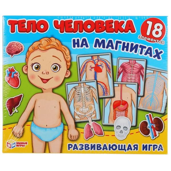 Игра Одевайка на магнитах.Одень куклу.Тело человека 4680013714383