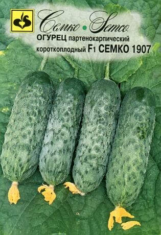 ТМ Семко Огурец партенокарпический Семко 1907 F1(нов. 2021)/ гибриды с длиной плодов 6-12 см