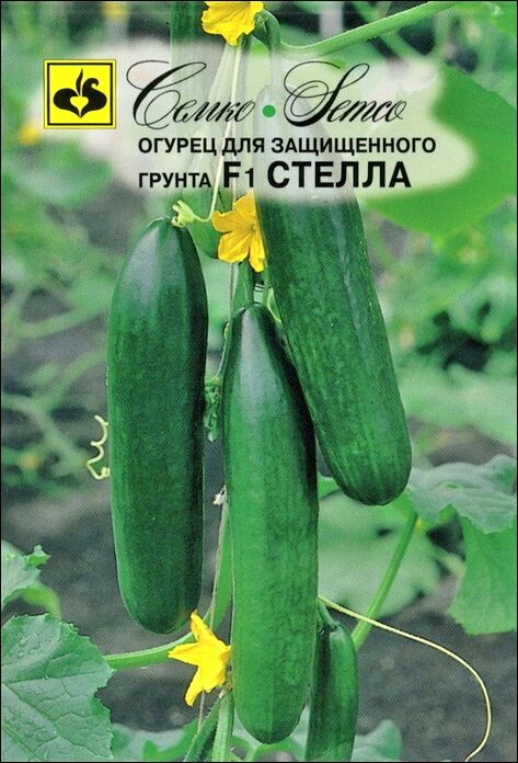 ТМ Семко Огурец партенокарпический Стелла F1/ гибриды с длиной плодов 12-24 см