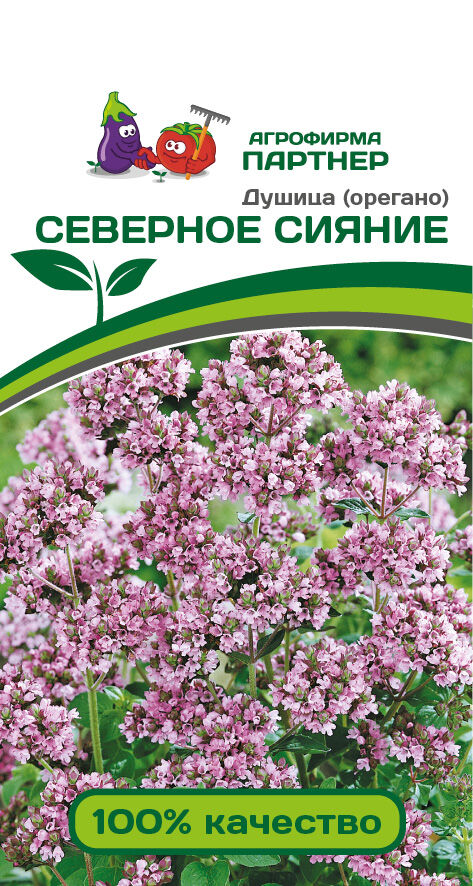Агрофирма Партнёр Душица (орегано) Северное Сияние