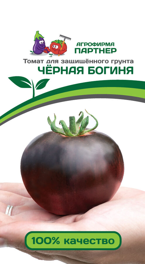 Томаты Ваше Благородие Отзывы Фото