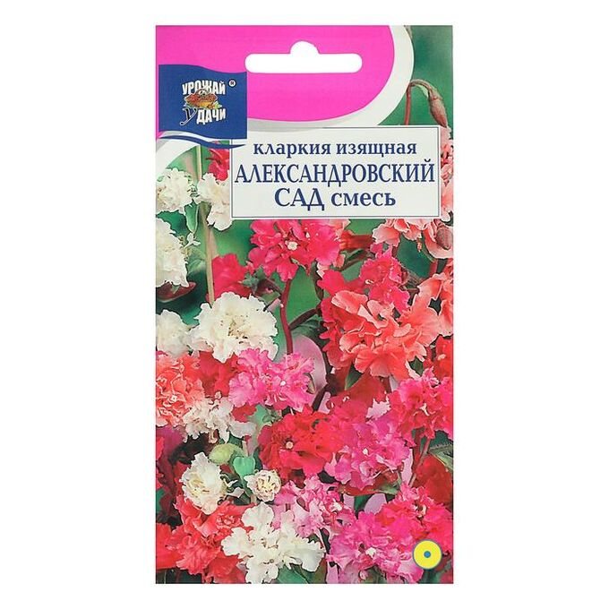 Кларкия семена. Семена смесь цветов. Декоративная смесь японский садик 0,5 г. Декоративная смесь японский садик гавриш. Маргаритка смесь окрасок в саду.