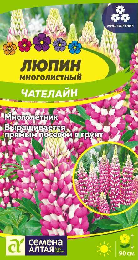 Семена Алтая Цветы Люпин Чателайн/Сем Алт/цп 0,3 гр. многолетник