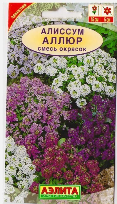 Аэлита Алиссум Аллюр смесь (Код: 13727)