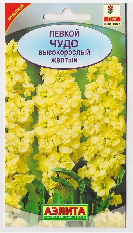 Левкой высокорослый чудо лавандовый Аэлита
