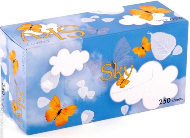 Gotaiyo &quot;Sky&quot; Двухслойные салфетки с ароматом ментола (Арт.: YR200) 250шт 1 пачка