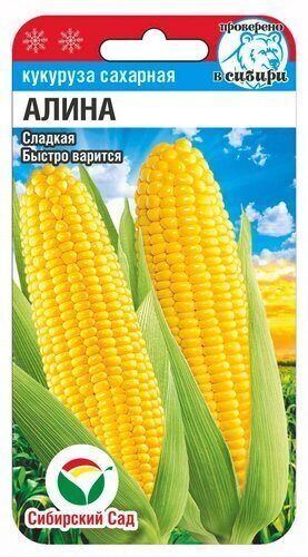 Сибирский сад Кукуруза Алина (Код: 88587)