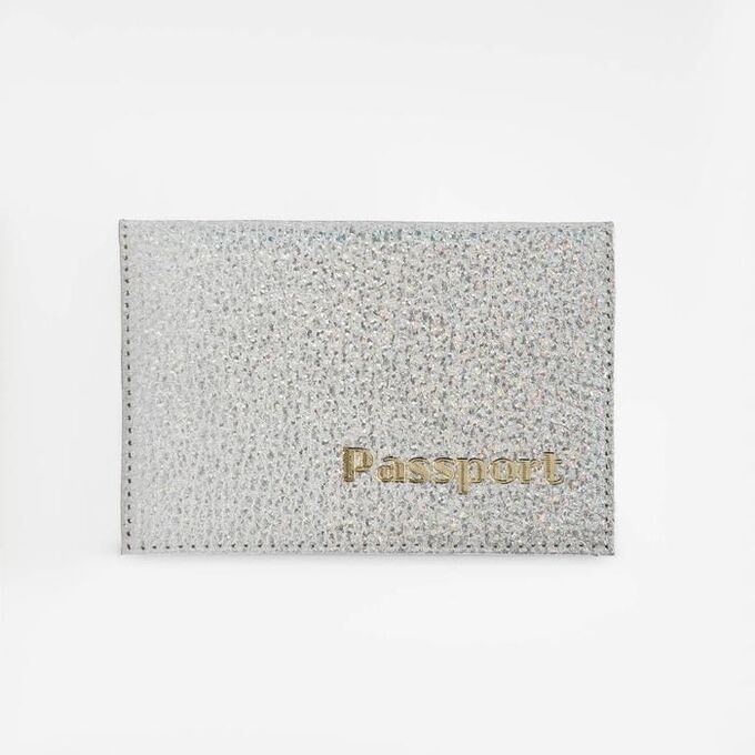 Обложка для паспорта, цвет серебристый