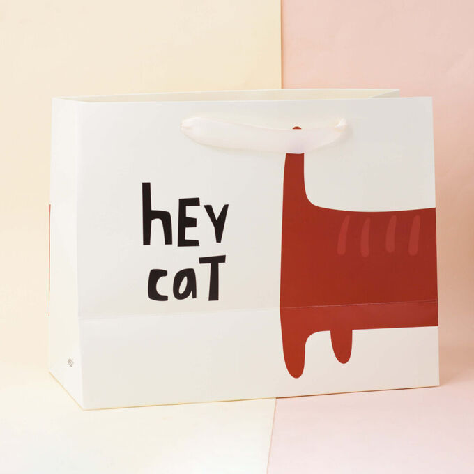 Подарочный пакет(M) &quot;Kitty&quot;, hey cat tail