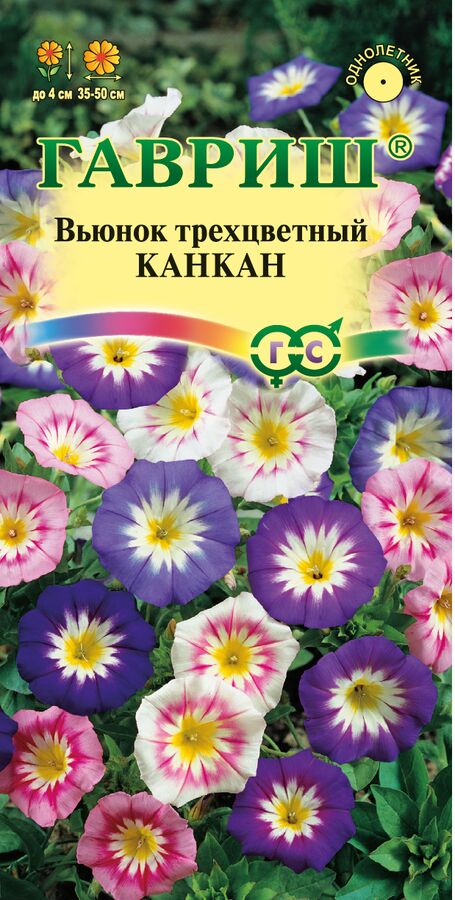 Семена (Россия) Вьюнок Трехцветный Канкан смесь, 35-50см 0,5гр Гавриш/ЦВ