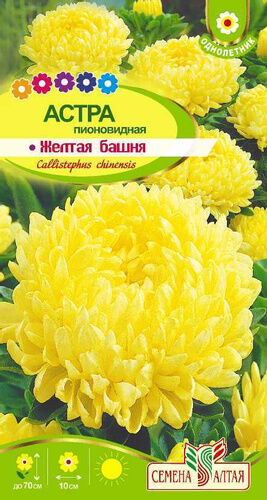 Baizheng Household Уссурийск С Ц Астра Желтая Башня пион, махр, 70см 0,2гр СА/ЦВ